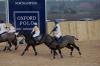 Oxford Polo 2022_12_11 0082